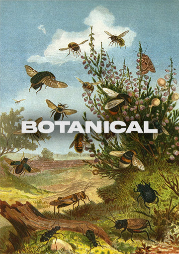 Botanical