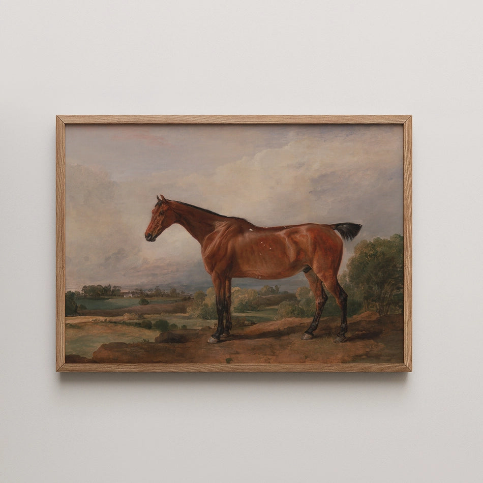 Painting of a brown horse standing on a landscape with rolling hills and trees, framed in a wooden border.