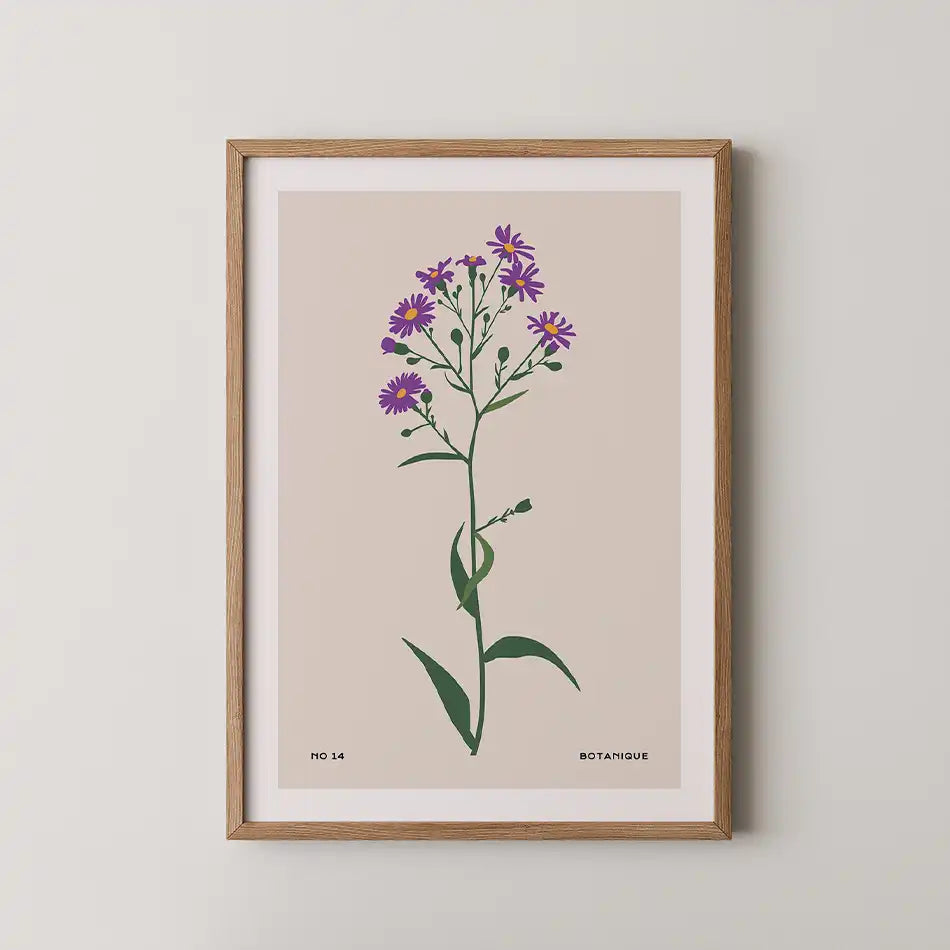 Purple Asters by Unknown Artist - Fine Art Print