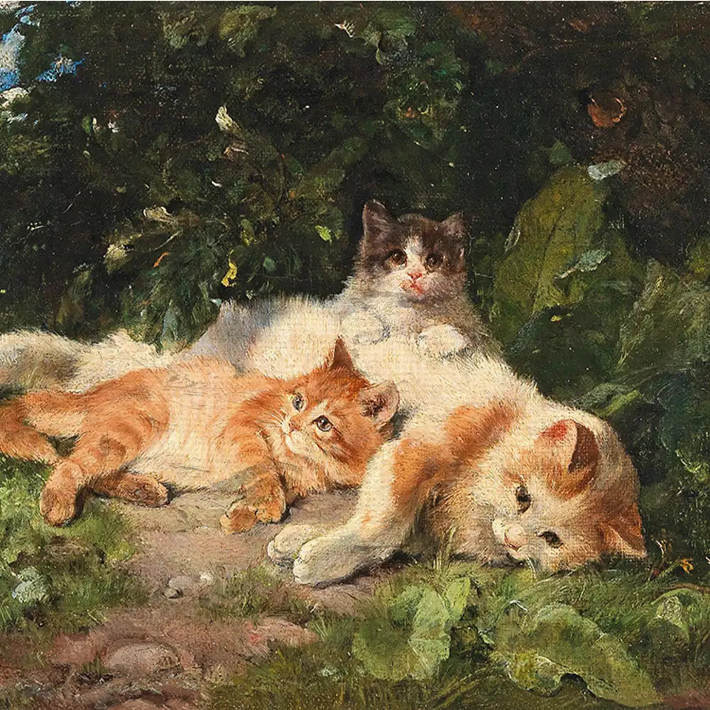 Three kittens lounging in a lush green setting, with one orange tabby and two fluffy white and gray cats.