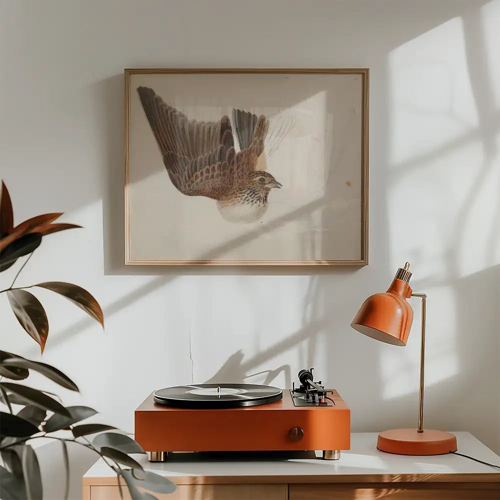 Vintage bird illustration framed above a stylish orange turntable and lamp in a brightly lit room.
