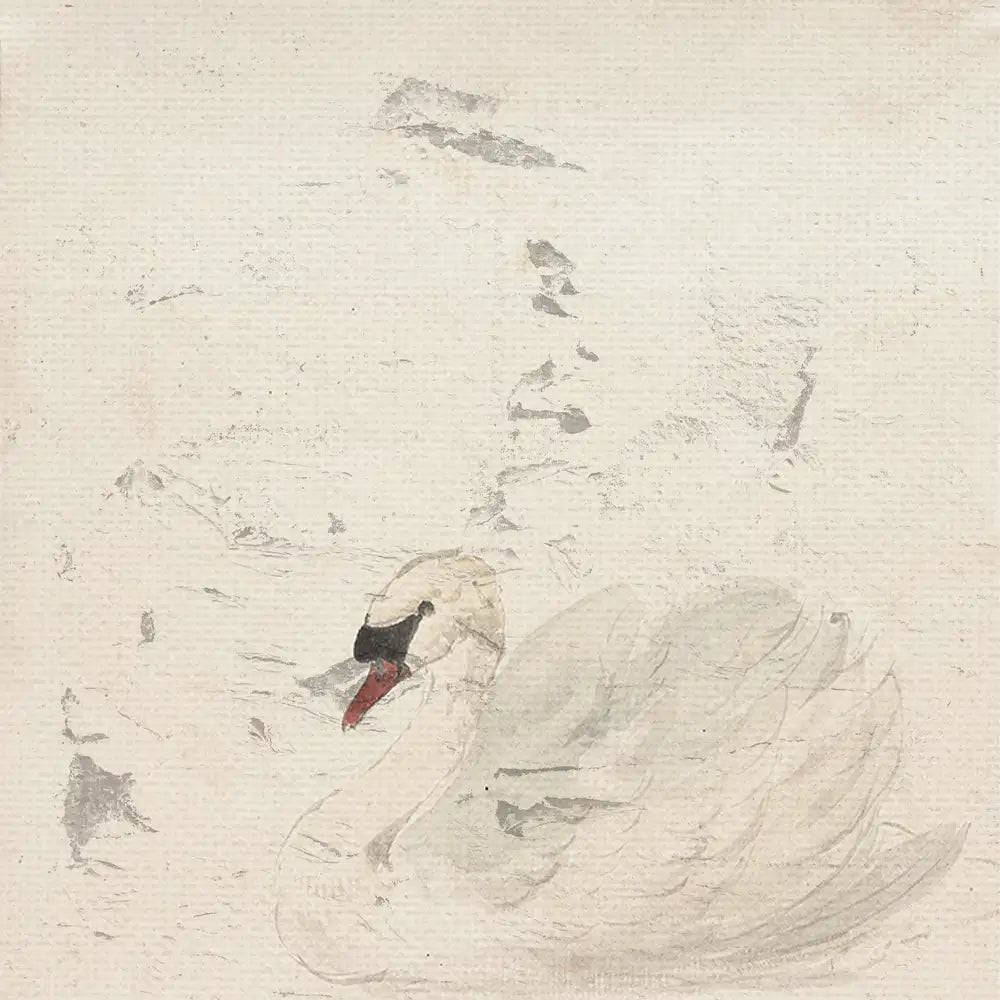 Watercolor painting of a swan resting against a soft, pale background