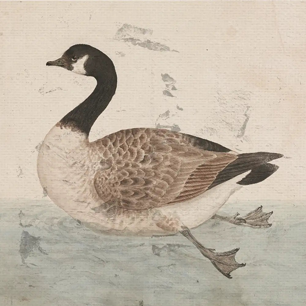 A detailed vintage painting of a swimming goose with a distinctive black head and a patterned body, set against a textured background.
