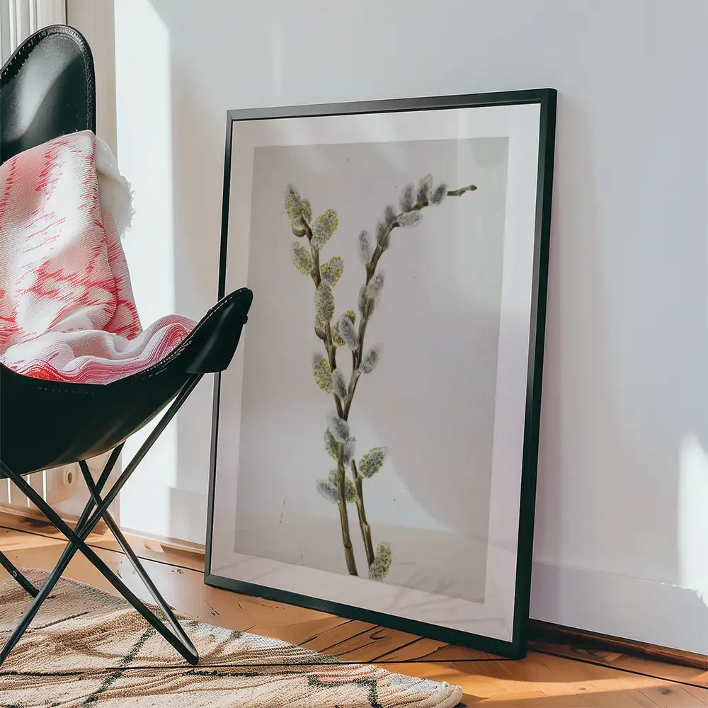 Framed art print of a botanical illustration featuring soft, budding branches displayed next to a black chair and draped blanket.