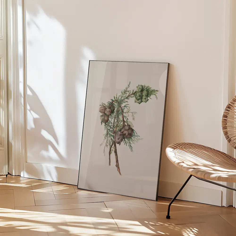Framed botanical artwork featuring pine cones and greenery, displayed against a light wall, with a woven chair nearby.