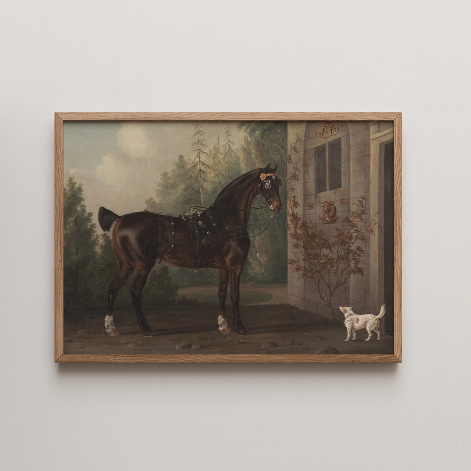 Framed painting of a brown horse in a natural setting, alongside a white cat near a building.