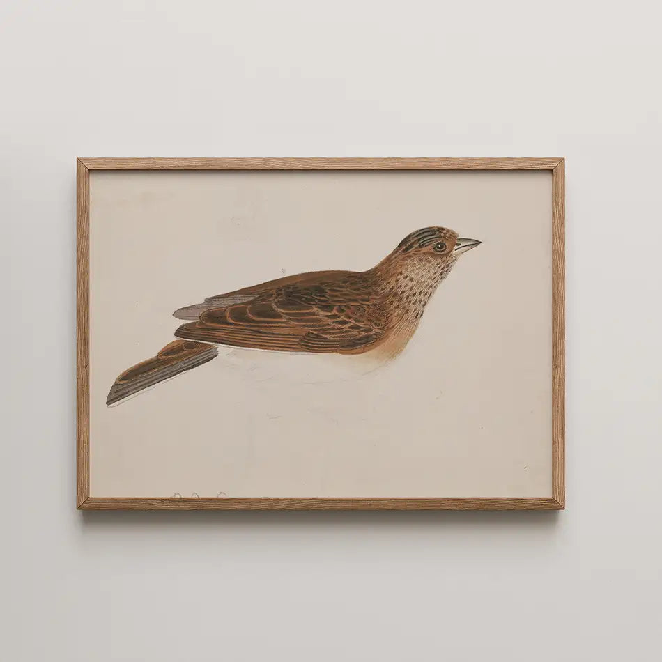 Framed painting of a bird perched, showcasing detailed feathers and realistic colors on a light background.