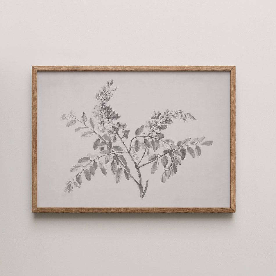 Black and white botanical illustration of a branch with leaves, framed in a wooden frame.