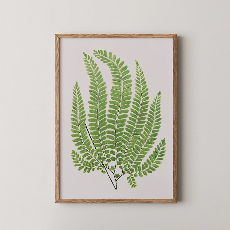 Framed artwork featuring a vibrant green fern illustration against a light background.