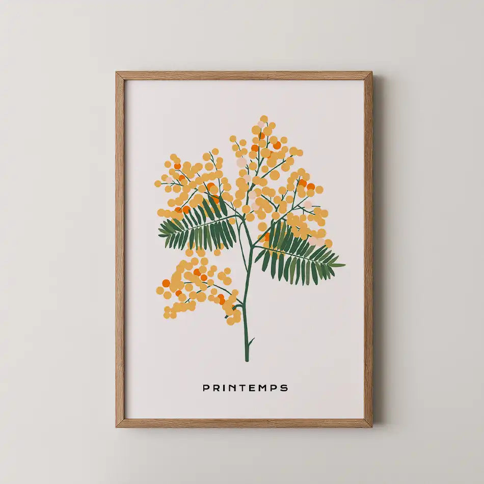 Modern botanical art print featuring a Mimosa branch with vibrant orange blossoms and green leaves on a crisp white background, titled 'PRINTEMPS'.