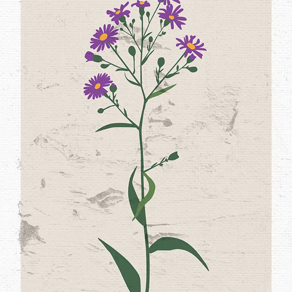 Purple Asters by Unknown Artist - Final Mockup Example