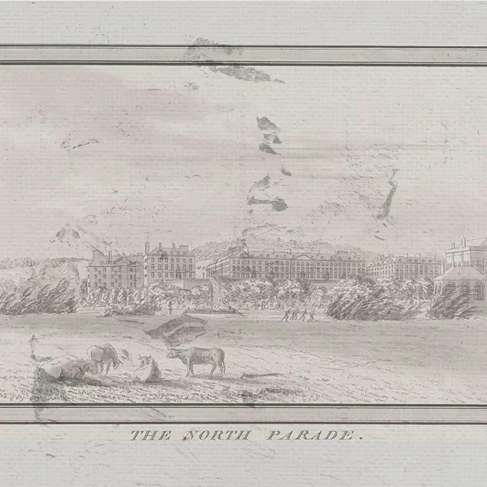 Illustration of "The North Parade," depicting a serene landscape with cows grazing, historic buildings in the background, and people walking, in a classic vintage style.