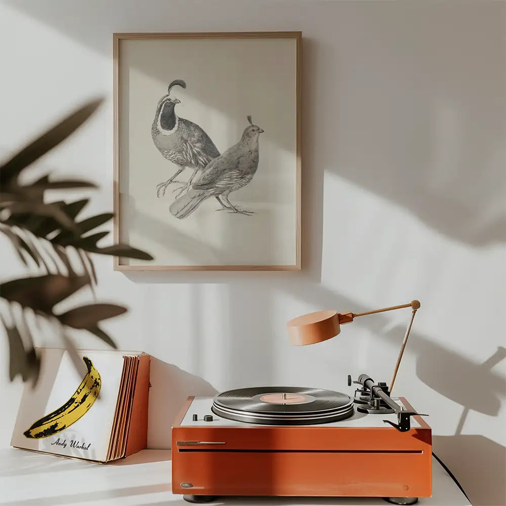 Illustration of two birds in a framed print, positioned above a vintage record player with a warm orange finish, alongside a vinyl record featuring a banana artwork.