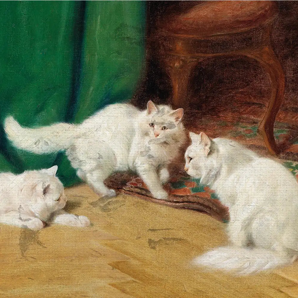 White cats playing on a beige carpet with a green curtain in the background.