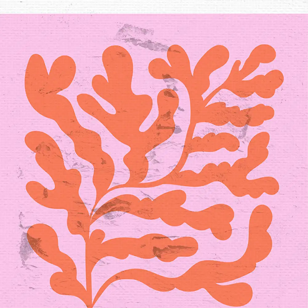 Coral Bohème by Unknown Artist - Final Mockup Example