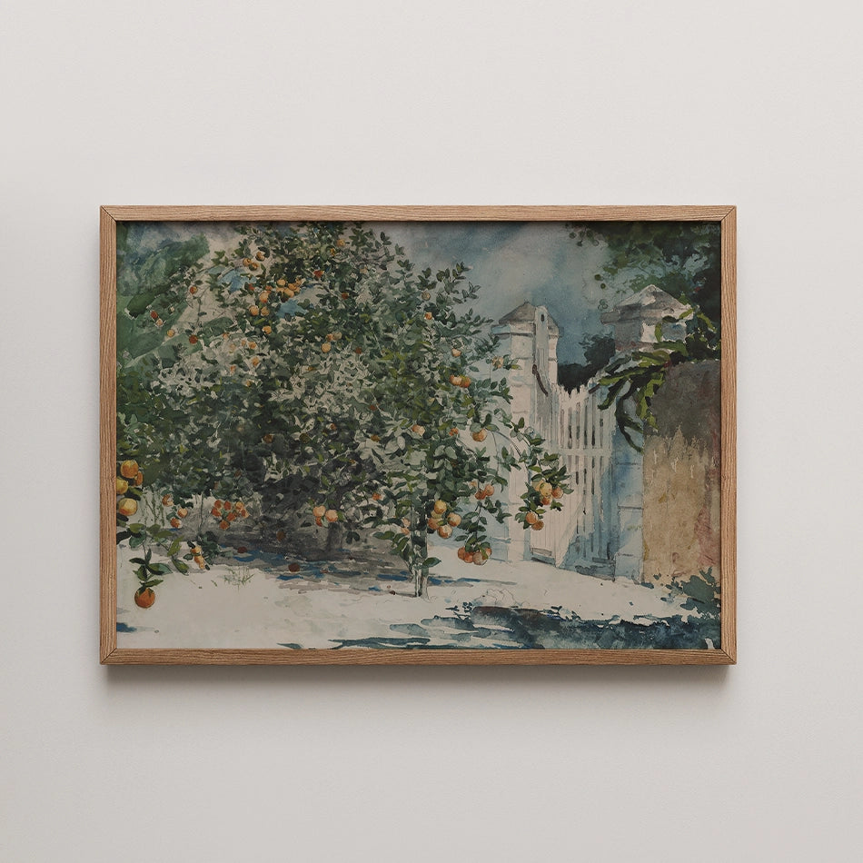Watercolor painting of an orange tree in a garden with a white picket fence and a lush background, framed in wood.