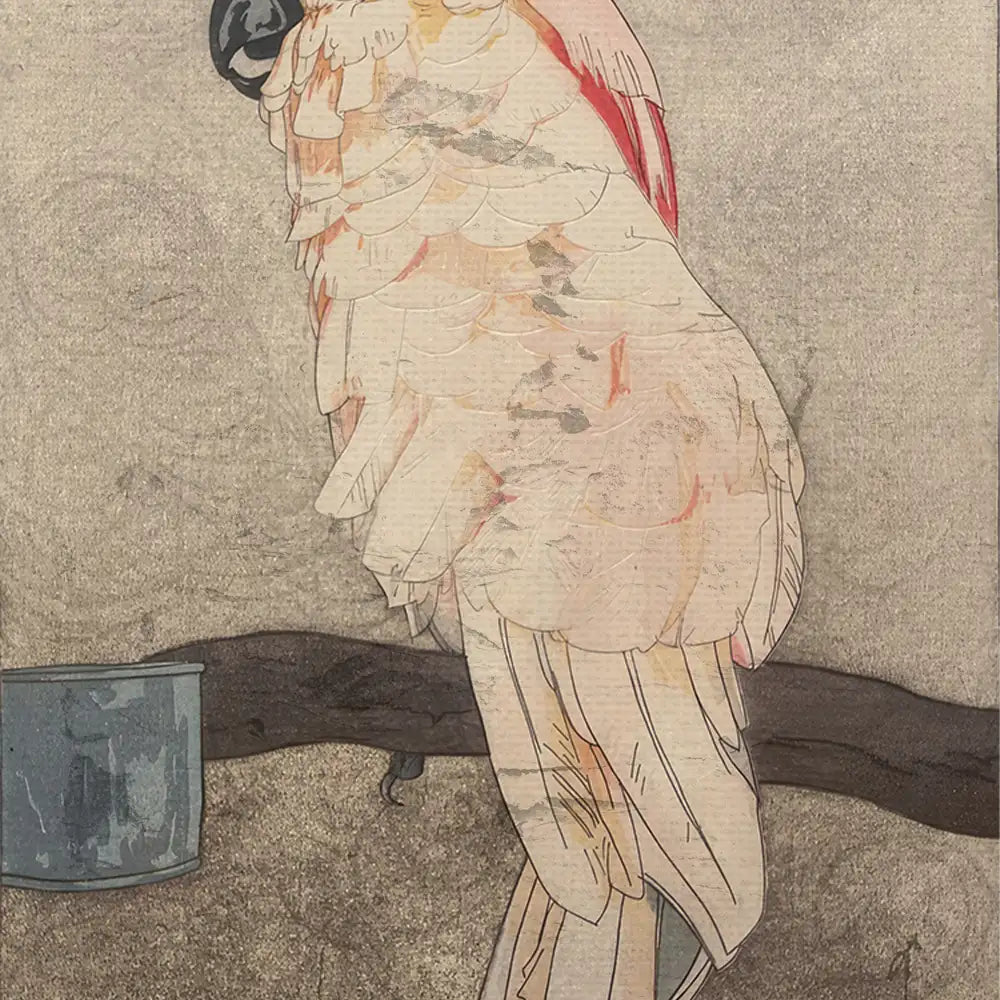 Illustration of a colorful bird perched on a branch against a textured background.