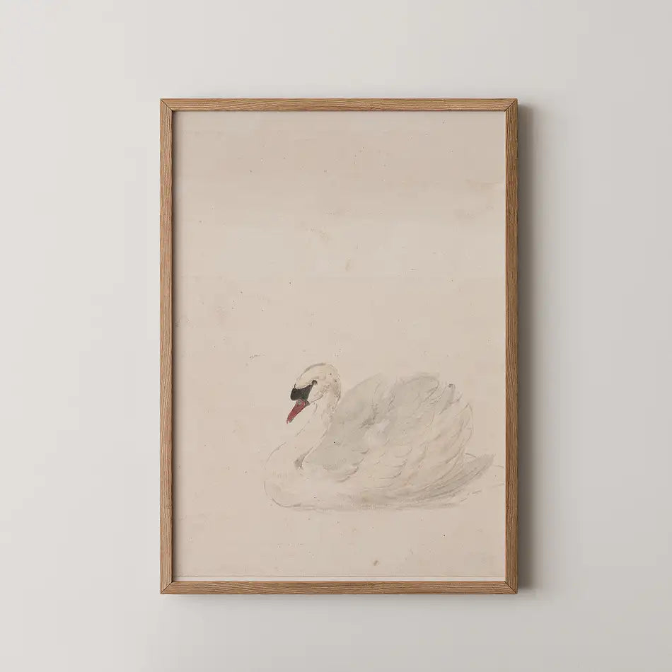 Framed painting of a serene white swan on a light background