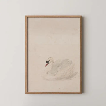 Framed painting of a serene white swan on a light background