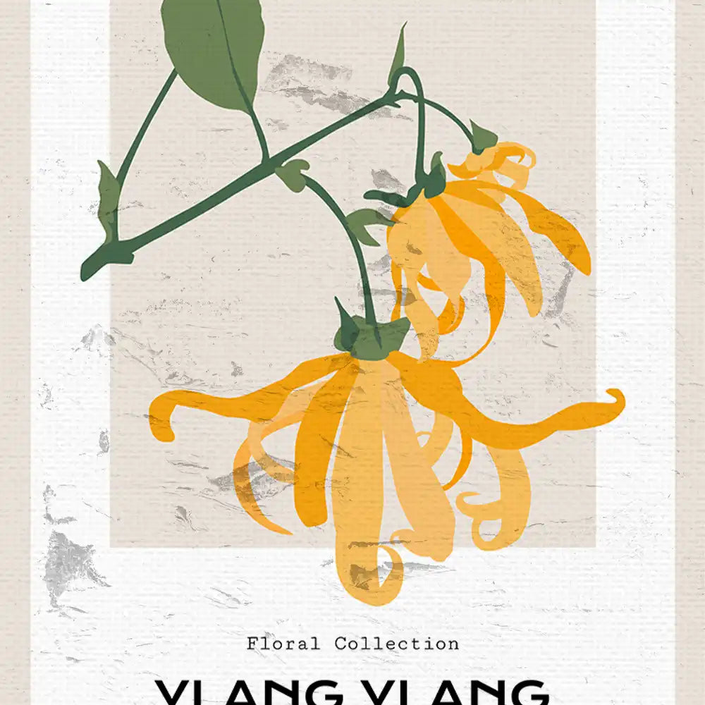 Modern poster of a vibrant yellow Ylang-Ylang flower illustration, part of a floral collection, featuring a minimalist design with a textured background.