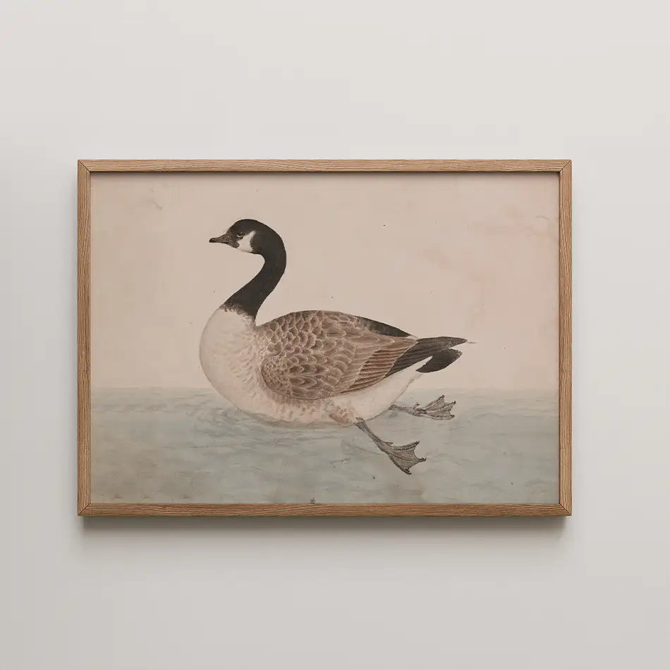 Framed painting of a swimming goose on a light background.
