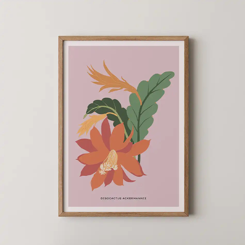 Vibrant art print of an orchid cactus with orange and red flowers, lush green leaves, and a soft pink background, perfect for modern home decor."