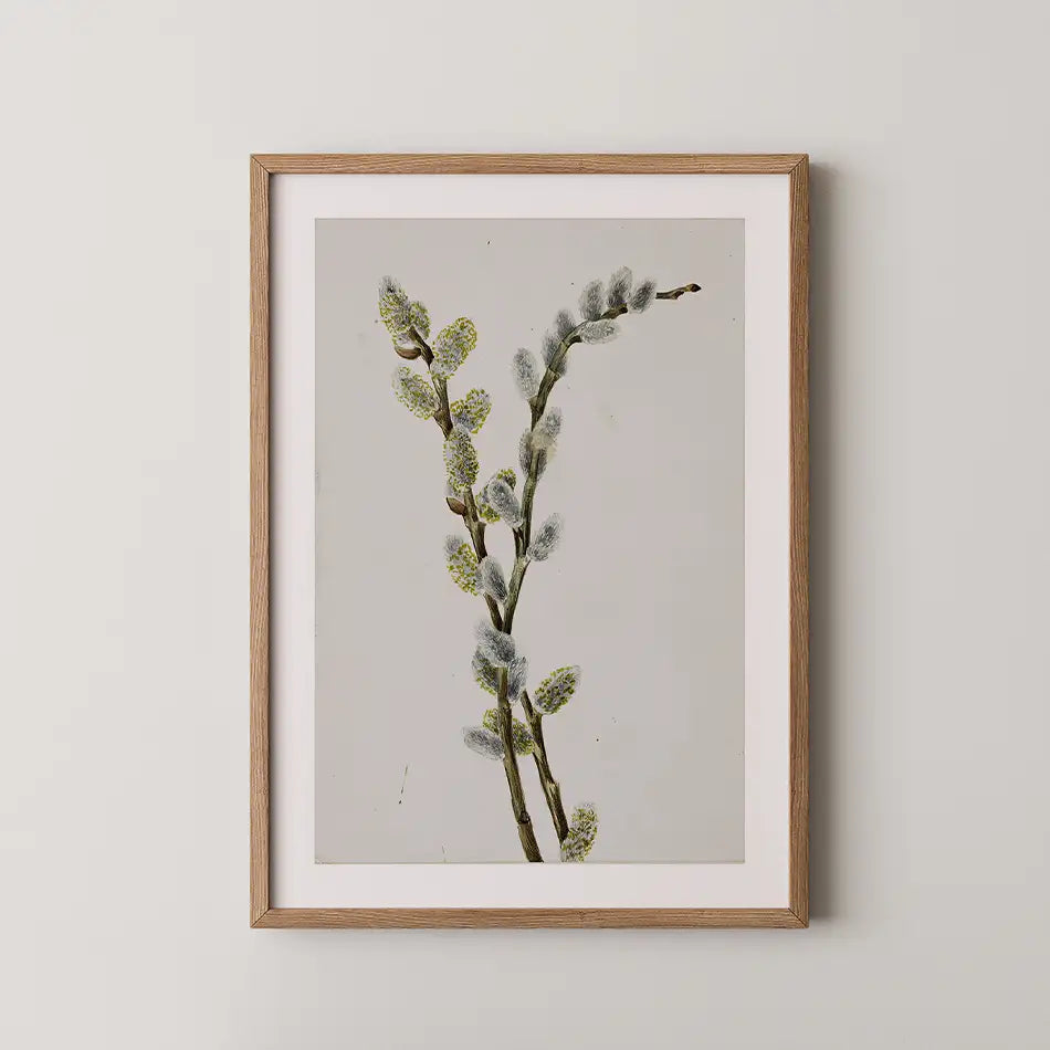 Framed botanical art print featuring a branch with green buds and soft gray catkins against a light gray background.