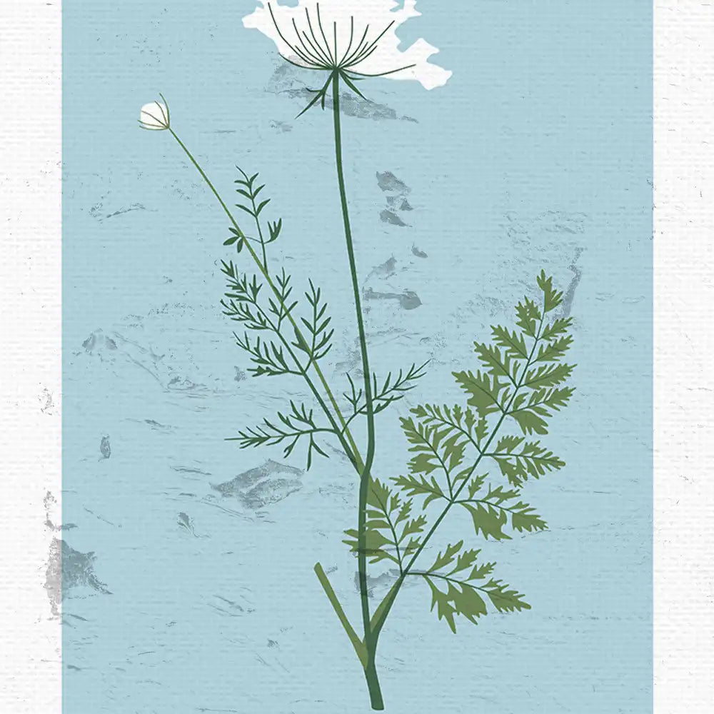 Queen Anne's Lace by Unknown Artist - Final Mockup Example