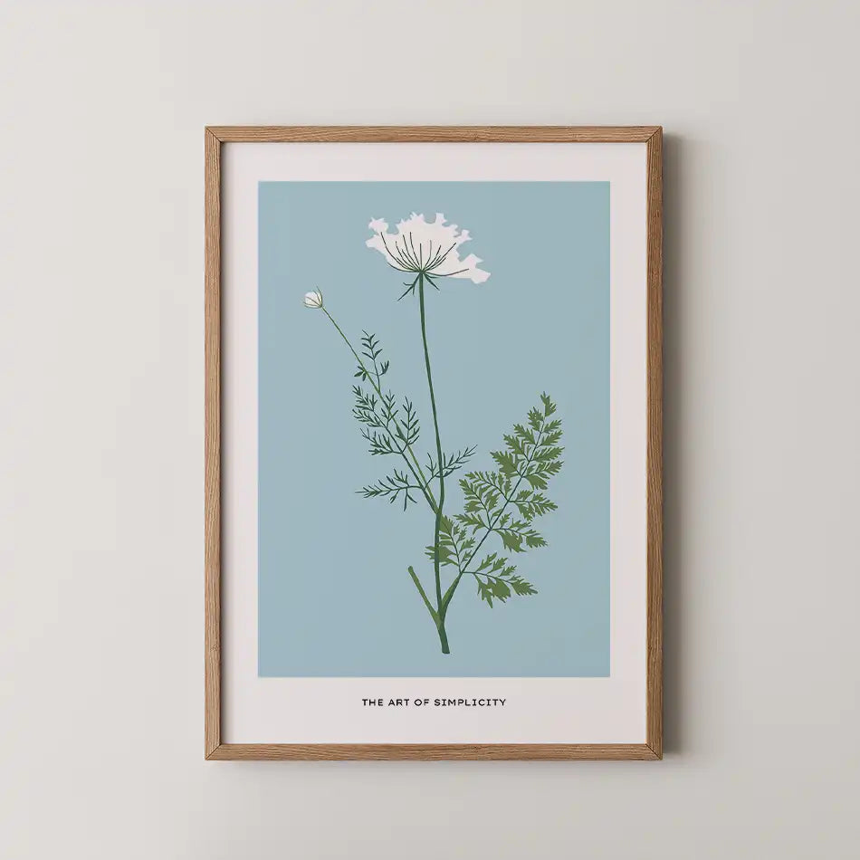 Queen Anne's Lace by Unknown Artist - Fine Art Print